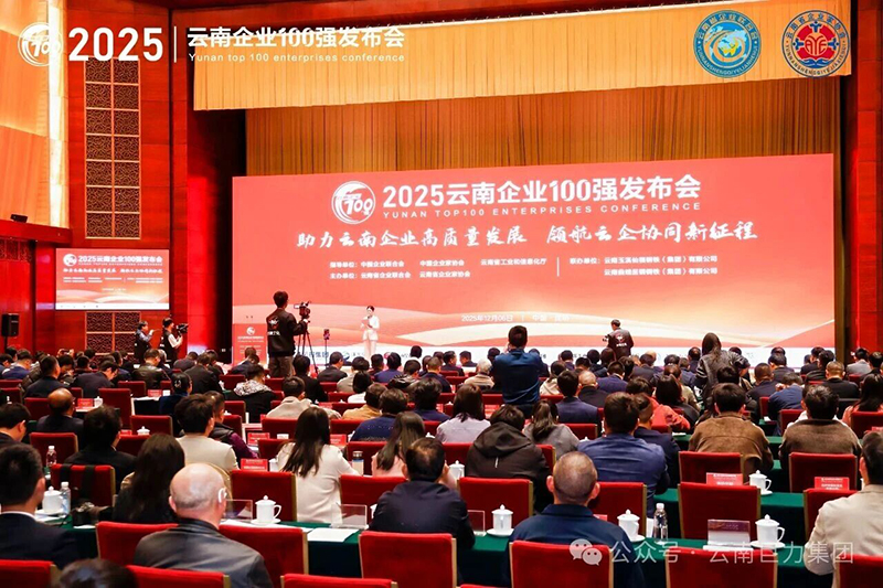 �sҫ�ǰ����Ͼ������F(tu��n)�s�ߡ�2025������I(y��)100��(qi��ng)��������s